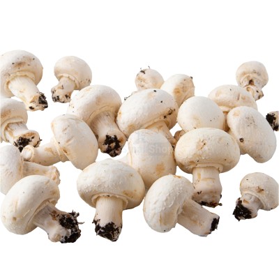 Шампиньоны свежие 500 г - купить в Мирном